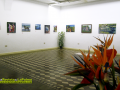 Exposición del curso de Pintura impartido por Miguel Angel Brito Lorenzo