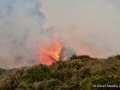 Incendio en la Villa de Mazo (La Palma)