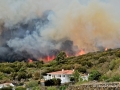 Incendio en la Villa de Mazo (La Palma)