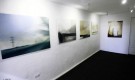 EXPOSICIÓN VIRTUAL “METÁFORA DE  SOLEDAD MOLINA”