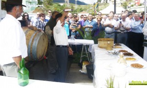 XVI Jornadas de la Viña y el Vino