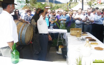GALERÍA DE FOTOS DE LAS JORNADAS DE LA VIÑA Y EL VINO “SAN MARTÍN 2011″ EN BREÑA ALTA