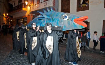GALERÍA DE FOTOS DEL ENTIERRO DE LA SARDINA 2012 EN S/C DE LA PALMA