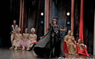 GALERÍA DE FOTOS DEL LAGO DE LOS CISNES EN EL TEATRO CIRCO DE MARTE